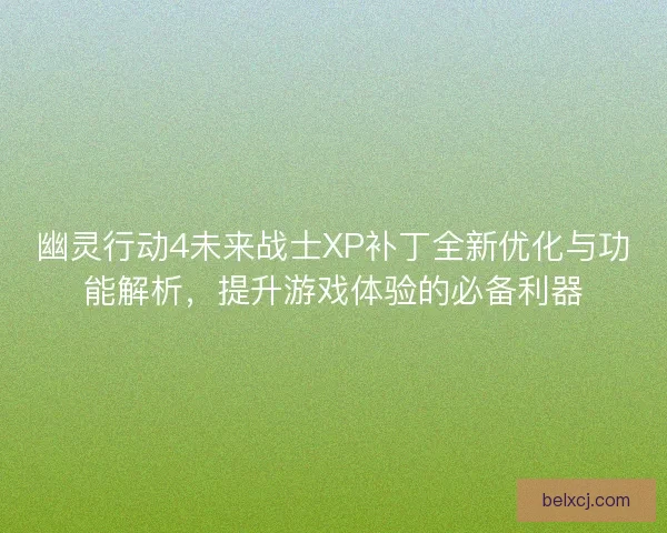 幽灵行动4未来战士XP补丁全新优化与功能解析，提升游戏体验的必备利器
