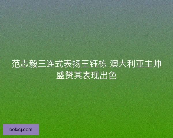 范志毅三连式表扬王钰栋 澳大利亚主帅盛赞其表现出色