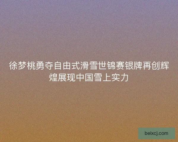 徐梦桃勇夺自由式滑雪世锦赛银牌再创辉煌展现中国雪上实力